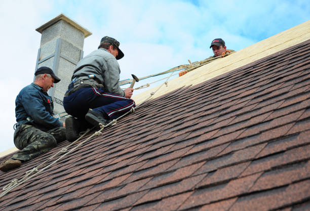 Best Roof Waterproofing Services  in Nashua, NH